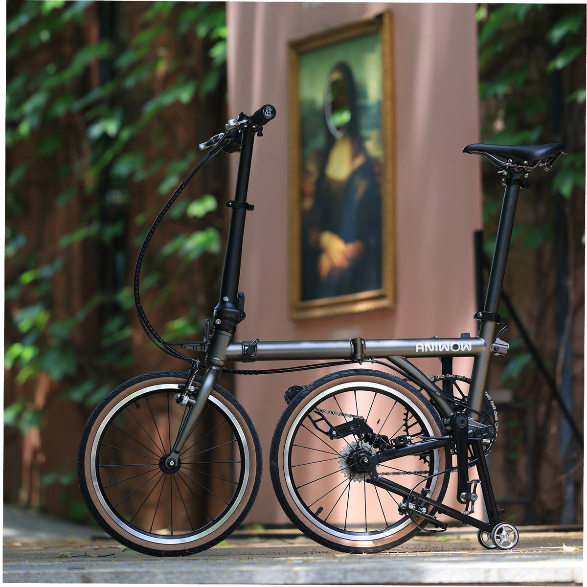 Aniwow Bike AW16L