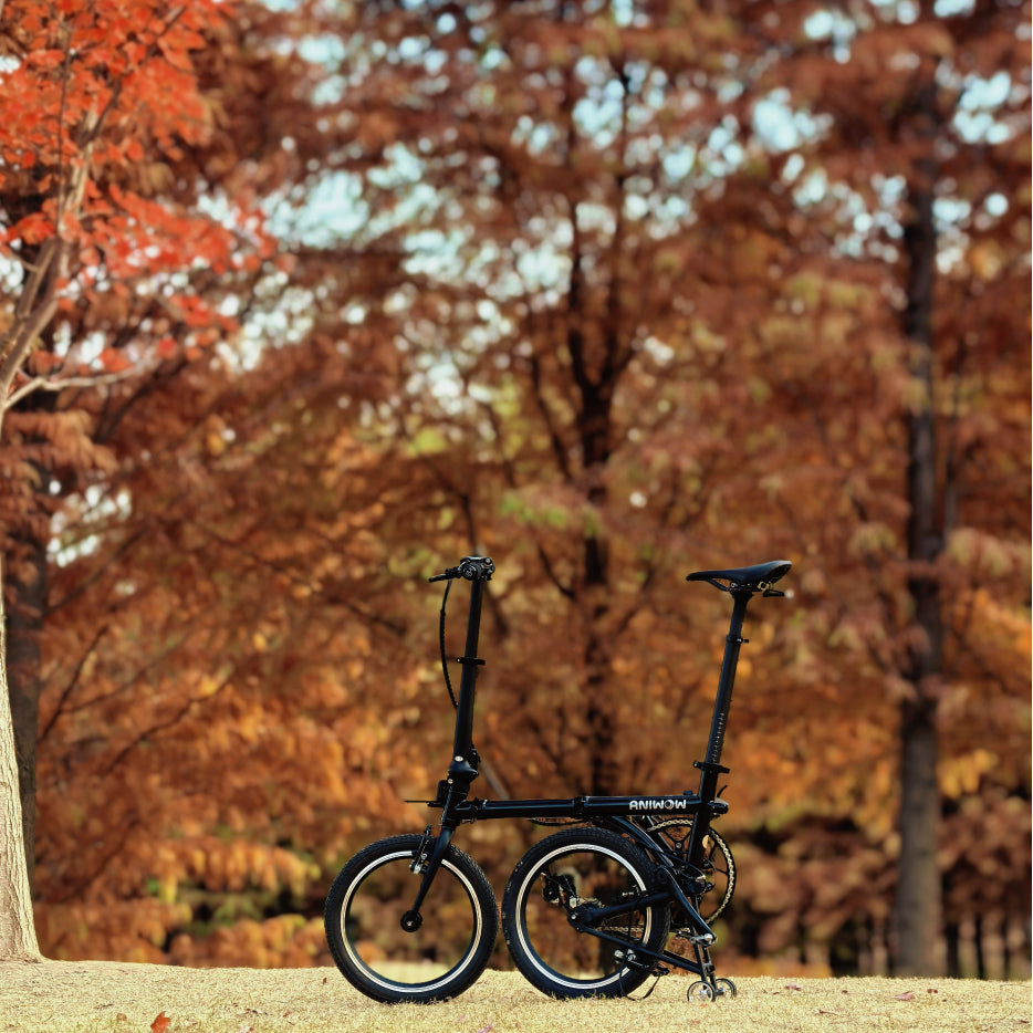 AniwowBike AW16