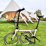 Aniwow Bike AW16L