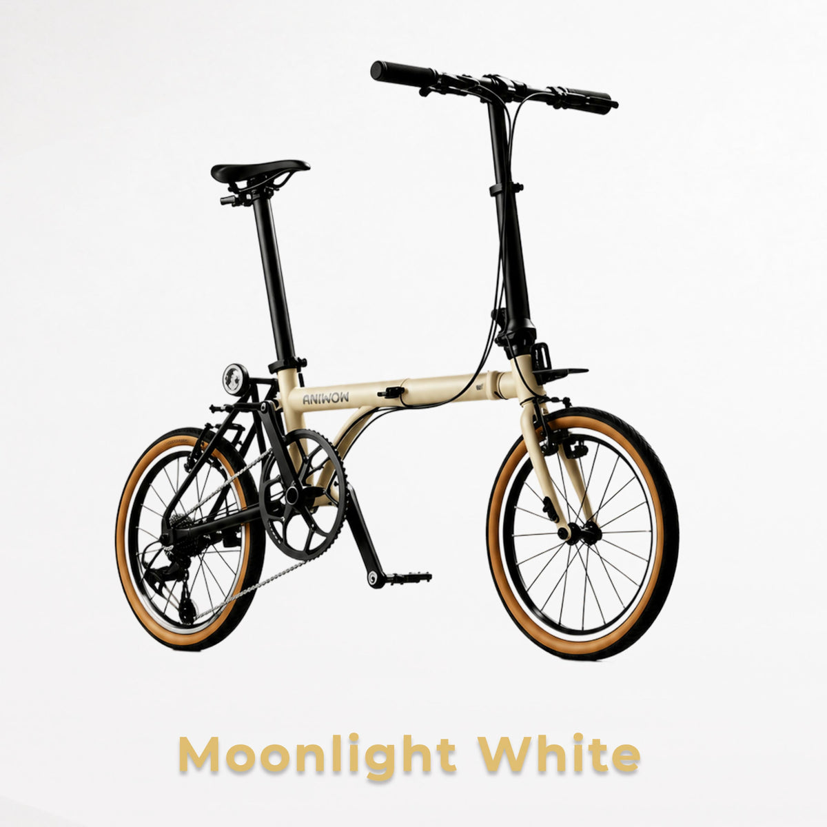 Aniwow Bike AW16L