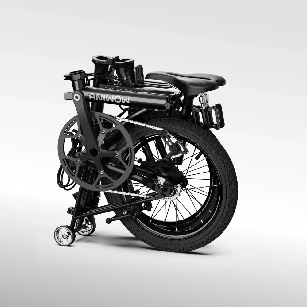AniwowbikeAW16 – Bild 8