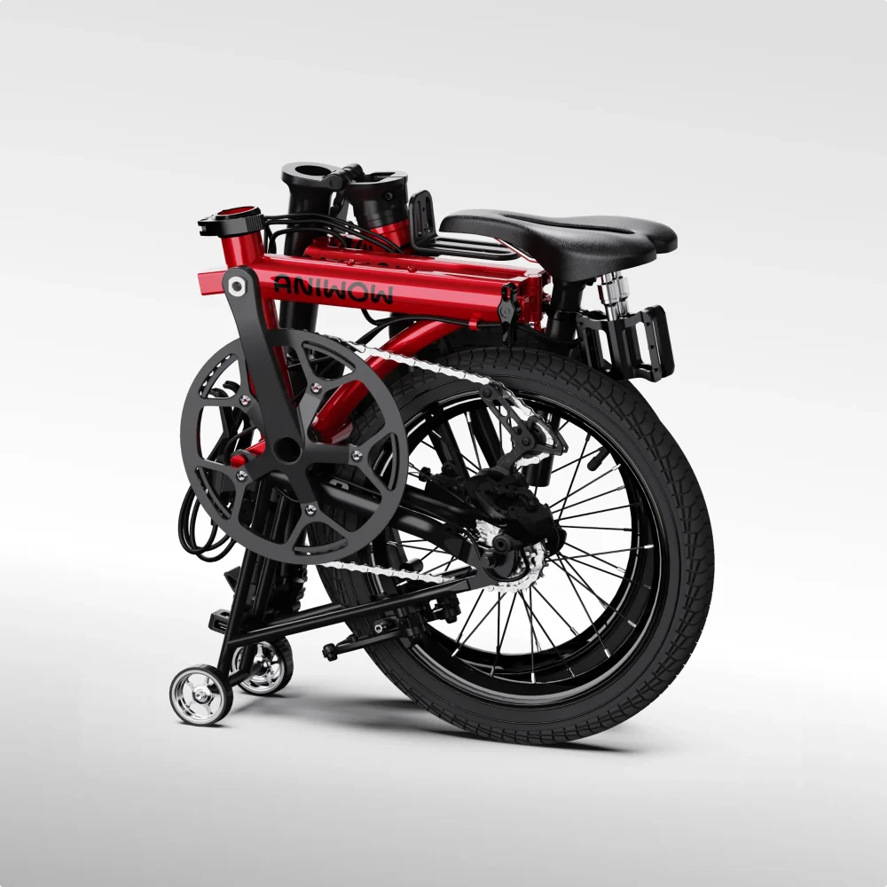 AniwowbikeAW16 – Bild 6