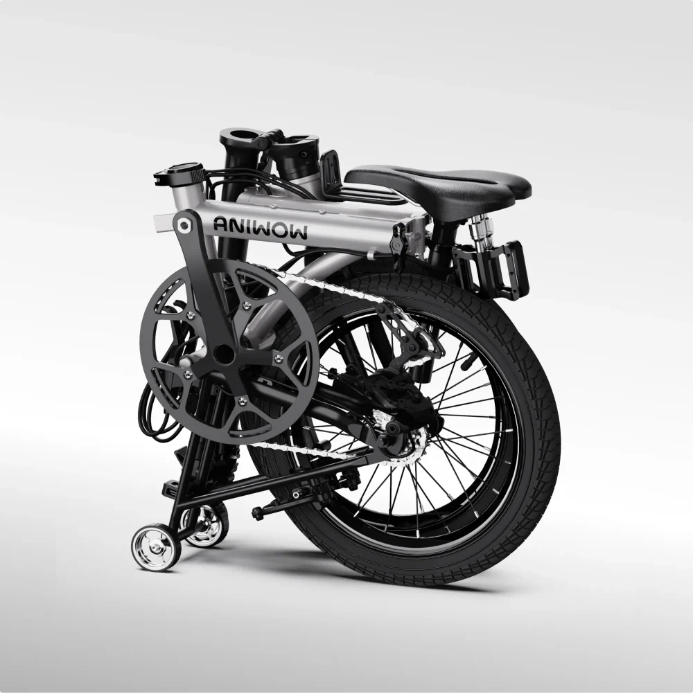 AniwowbikeAW16 – Bild 3